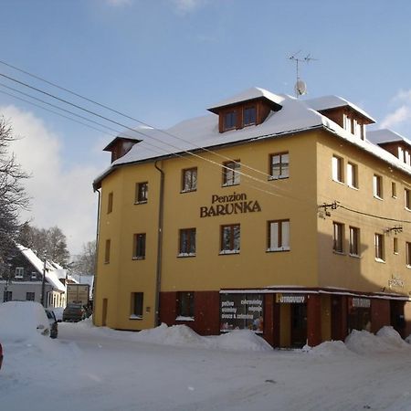 Penzion Barunka Vysoké nad Jizerou Exterior foto